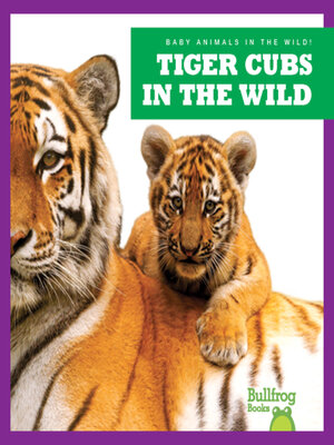 cover image of Tiger Cubs in the Wild